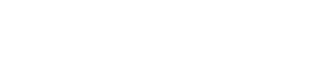 NiCE Shine logo